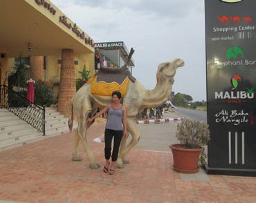 Сторінки журналу