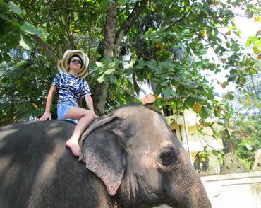 <Матч з баскетболу