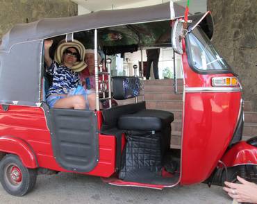 Сторінки журналу